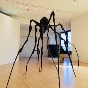 Meet your Posher, Zexin